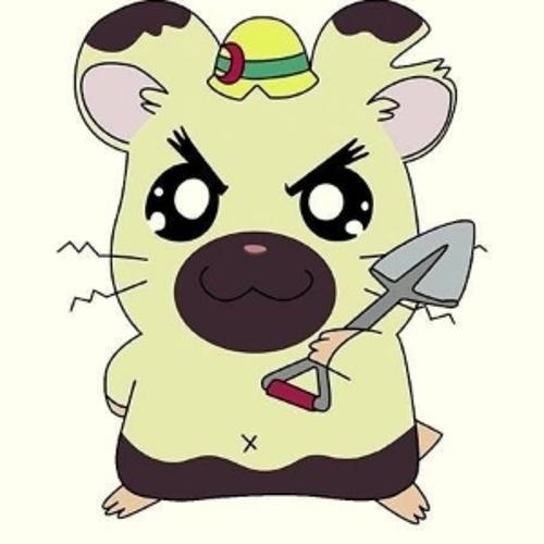 선수사진